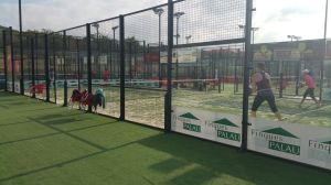 padel-finques-palau