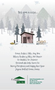 Finques-palau-Nadal-2