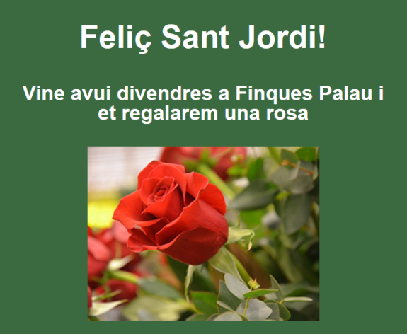 Sant Jordi-foto